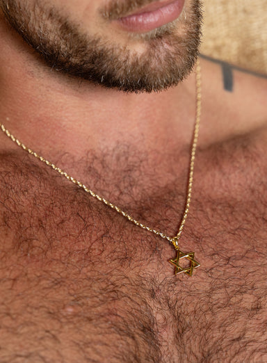 Gold Vermeil Star of David Pendant on 14k Gold Filled Rope Chain Necklace for Men Necklaces We Are All Smith