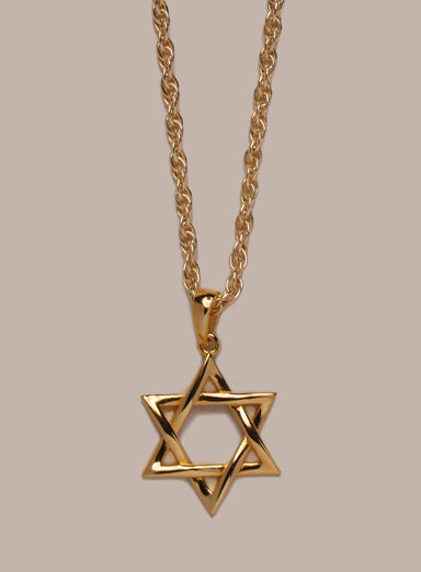 Gold Vermeil Star of David Pendant on 14k Gold Filled Rope Chain Necklace for Men Necklaces We Are All Smith