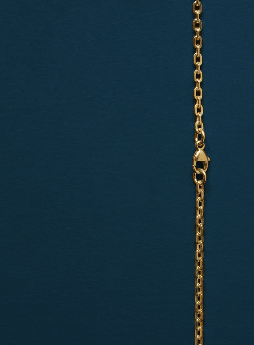 Gold Cable Chain Necklace for Men Jewelry We Are All Smith