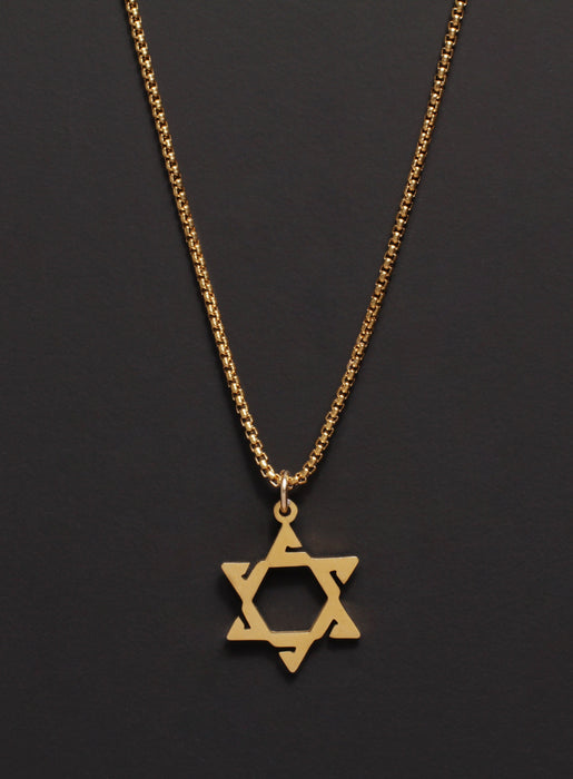 Gold Star of David Stainless Steel Necklace Necklaces WE ARE ALL SMITH: Men's Jewelry & Clothing.