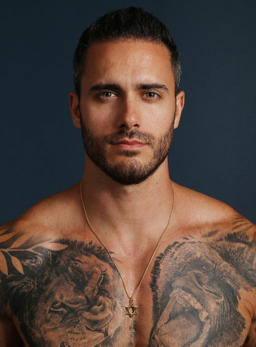 Gold Star of David Stainless Steel Necklace Necklaces WE ARE ALL SMITH: Men's Jewelry & Clothing.