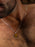 925 Sterling Shield Shape Genuine Tiger's Eye Pendant Necklace Necklace WE ARE ALL SMITH: Men's Jewelry & Clothing.   