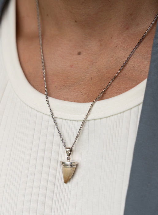 One-of-a-kind Mosasaur Fossil Teeth Sterling Silver Pendant Necklace