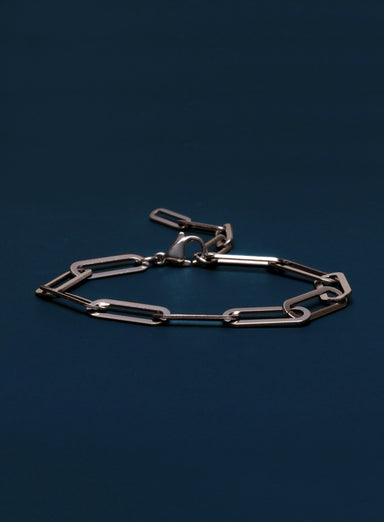 Waterproof Large Stainless Steel Adjustable Clip Chain Bracelet Bracelets WE ARE ALL SMITH: Men's Jewelry & Clothing.   