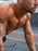 Sweatproof + Waterproof Stainless Steel Cross For Men Necklaces WE ARE ALL SMITH: Men's Jewelry & Clothing.   