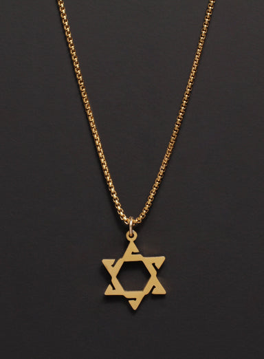 Gold Star of David Stainless Steel Necklace Necklaces WE ARE ALL SMITH: Men's Jewelry & Clothing.   