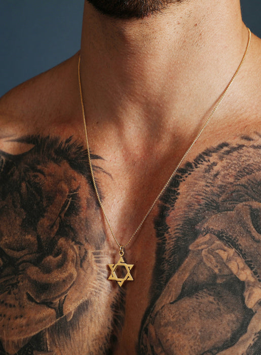 Gold Star of David Stainless Steel Necklace Necklaces WE ARE ALL SMITH: Men's Jewelry & Clothing.   