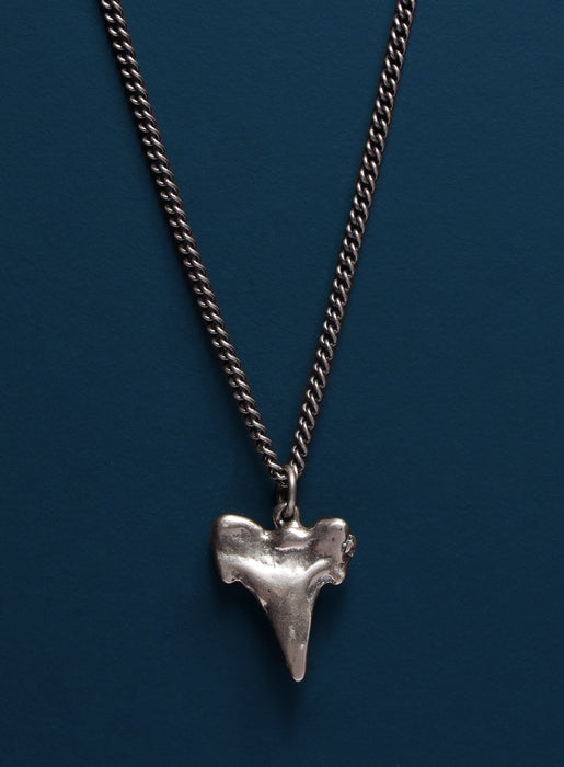 Sterling Silver Shark Tooth Necklace Necklaces WE ARE ALL SMITH: Men's Jewelry & Clothing.   