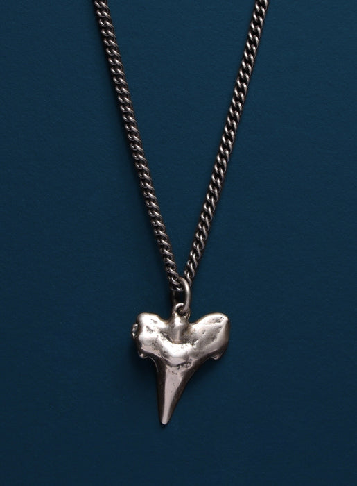 Sterling Silver Shark Tooth Necklace Necklaces WE ARE ALL SMITH: Men's Jewelry & Clothing.   